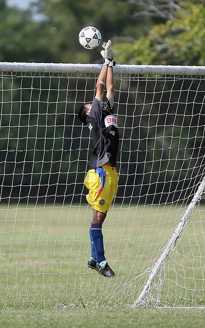 新帅的到来 新帅的到来