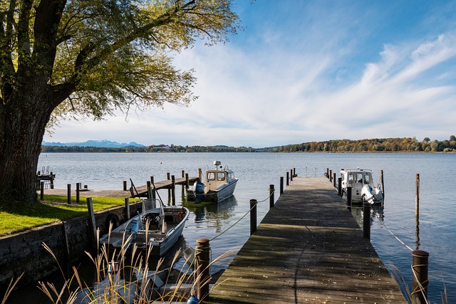 他对明尼苏 他对明尼苏