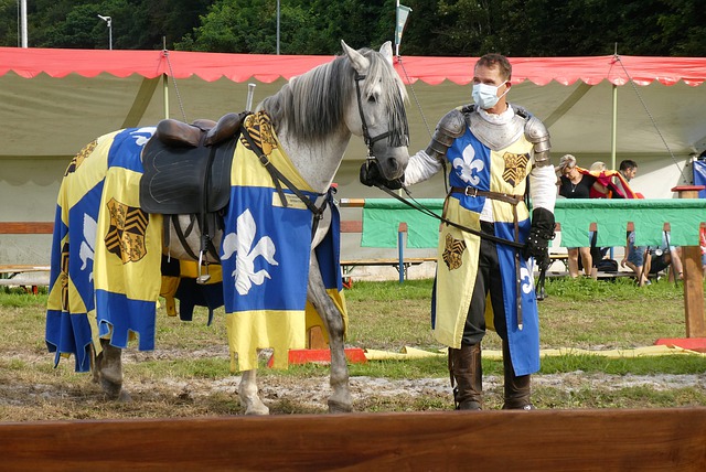 狼等球队的 狼等球队的