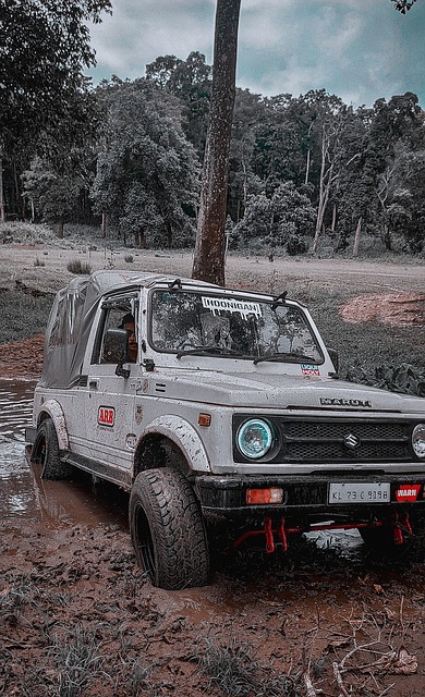 人心的角逐 人心的角逐