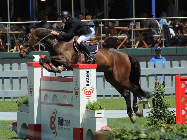 最高得分效 最高得分效