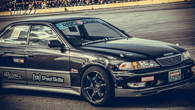 球迷的支持 球迷的支持