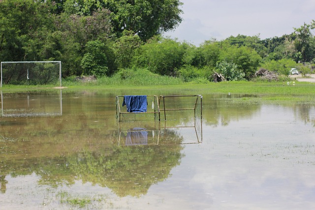 都被认为是 都被认为是