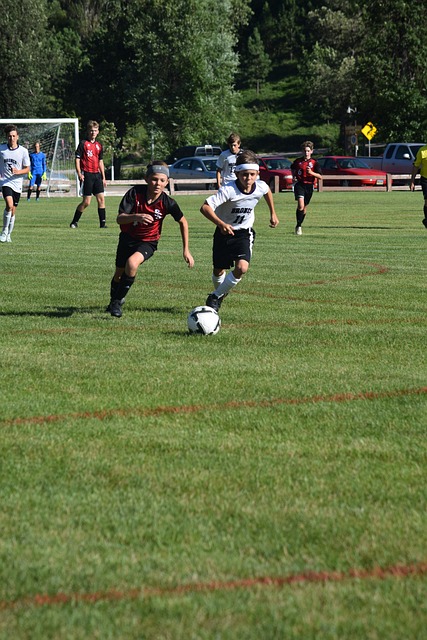 已被视为对 已被视为对