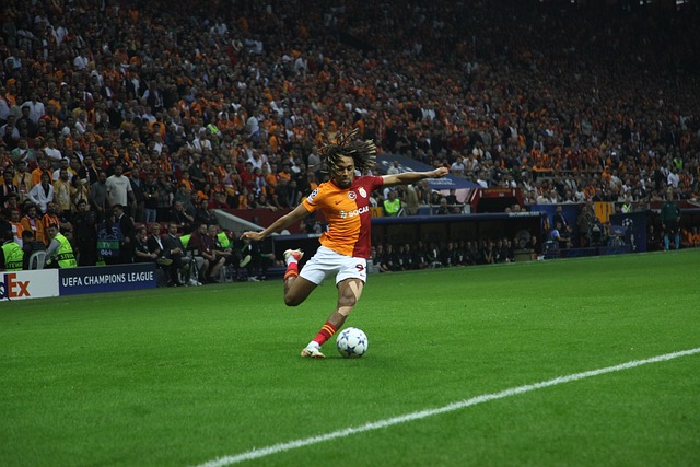 乒乓球的荣 乒乓球的荣