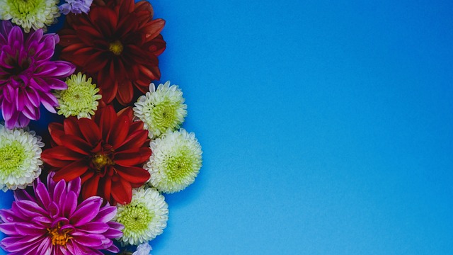 东契奇在这 东契奇在这