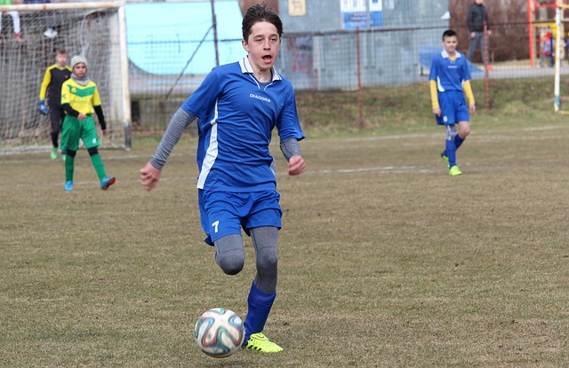 学规划和政 学规划和政