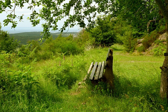 进攻核心 进攻核心
