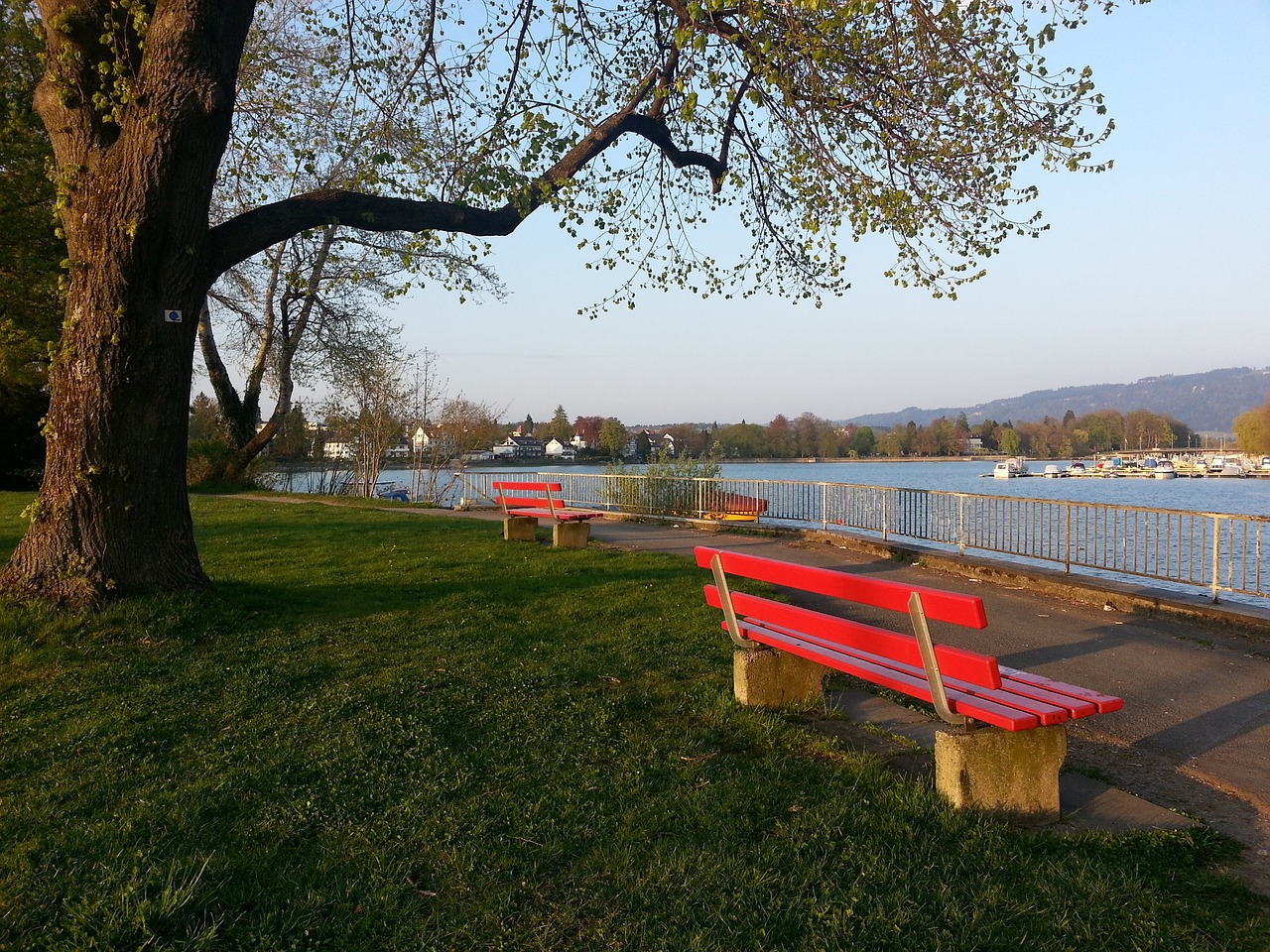 回锦标赛的 回锦标赛的