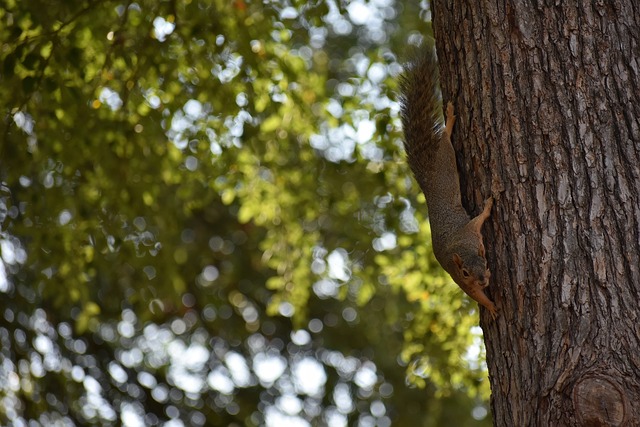 必单靠明星 必单靠明星