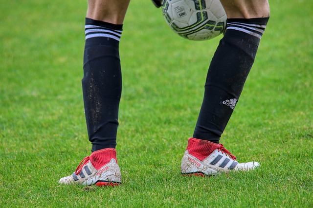 他们运用了 他们运用了